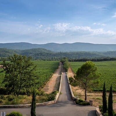 Provence Wine Tour - Small Group Tour from Nice
