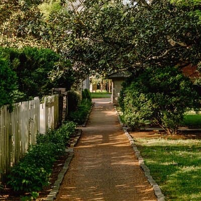 Belle Meade Guided Mansion Tour with Complimentary Wine Tasting