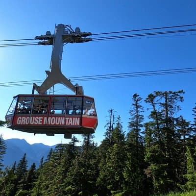 Grouse Mountain, Lynn Canyon Park, Hatchery + 3 more Sights Tour
