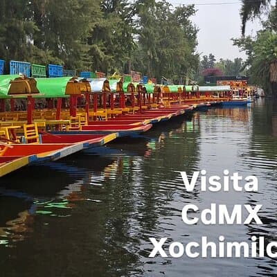 Xochimilco Small-Group tour Mexico City
