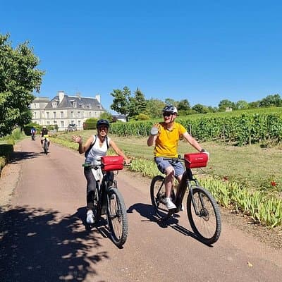Private Amboise E Bike Tour Clos Luce