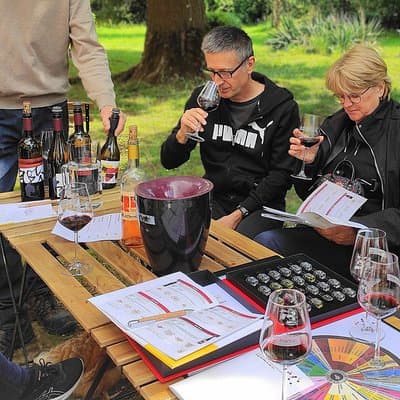 Fronton Small Group Wine Tour from Toulouse