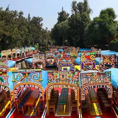 Private/Shared Tour Xochimilco Coyoacán optional Frida Kahlo