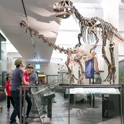 Skip the Line: Auckland Museum General Admission Ticket