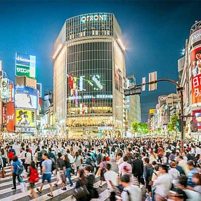 Tokyo: Shibuya Highlights Walking Tour & Secret View Spot