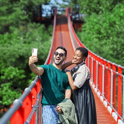 Beste DMZ Tour Korea ab Seoul (Suspension Bridge & JSA Museum)
