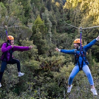 Rotorua’s Ultimate Zipline : 6 tyroliennes, 400 m Tandem, Cliff Walk