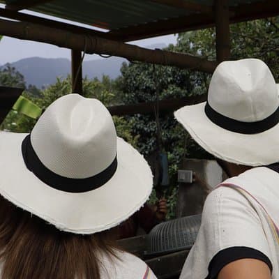 Coffee Farm Tour from Bogotá – Be a Farmer for a Day