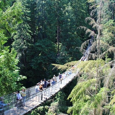Grouse Mountain, Skyride Gondola & Capilano Bridge from Vancouver
