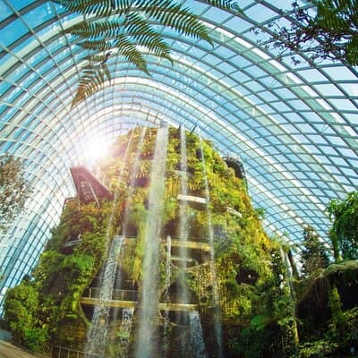 Gardens by the Bay Flexible Ticket with Flower Dome in Singapore