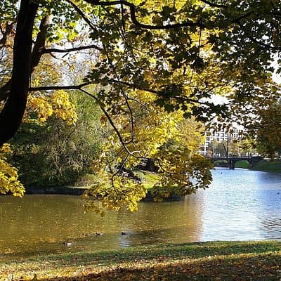 Bicycle tour of Dresden