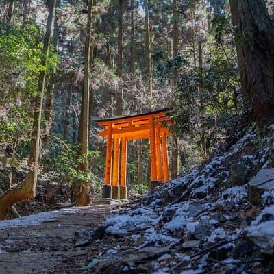 Kyoto: Fushimi Inari Hidden Hike (Private)