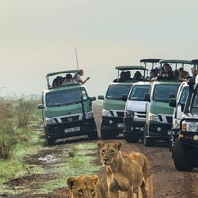 Nairobi National Park Tour Half Day