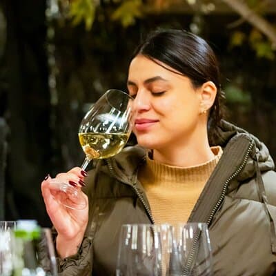 Viña Concha y Toro: Premium Wine Center Tour