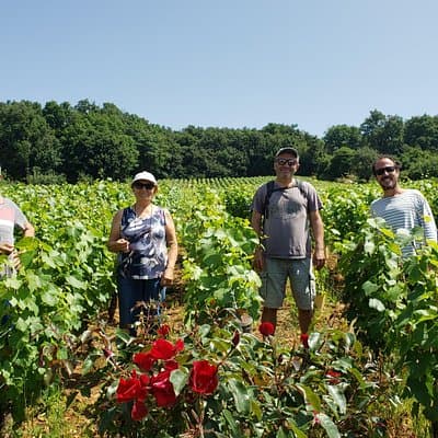 Private tour in Burgundy with your professional guide!
