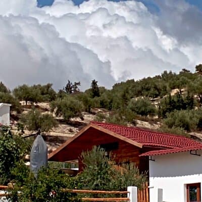 Archaeological and culinary treasure and olive oil tasting