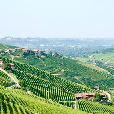 Small-Group Barolo Wine Tasting, Alba & UNESCO Piedmont Hills