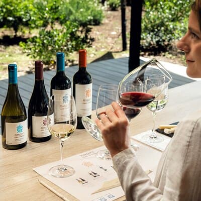 Official Concha y Toro Marques de Casa Concha Wine Experience