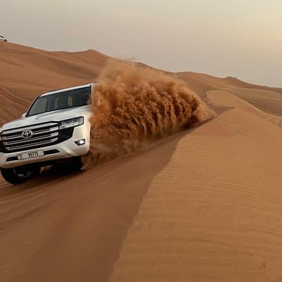 Dubai Red Dunes Safari: Dune Bashing, Camel, BBQ & Shows