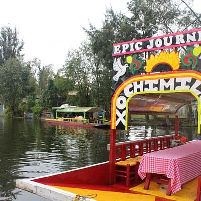 Riding Boats +Warm Mex Food+ Frida Kahlo's neighborhood (private)
