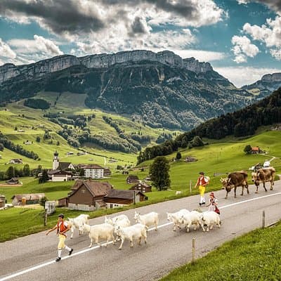 Appenzell Alps Day Trip from Zurich – Farm Life & Cheese Tasting