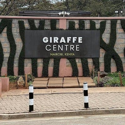 Giraffe Centre visit Nairobi