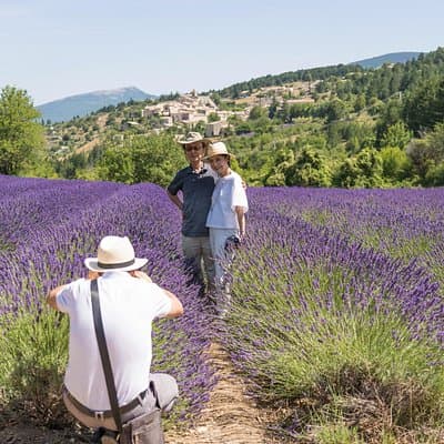 Provence Lavender Full Day Tour from Avignon