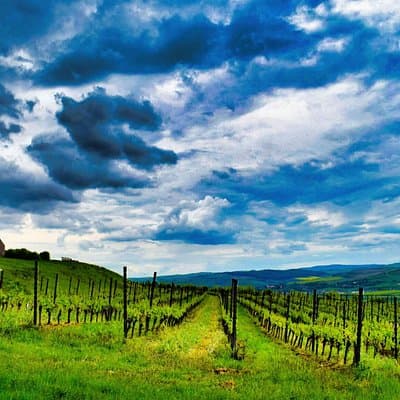 Sighisoara and wine tasting, day tour from Cluj