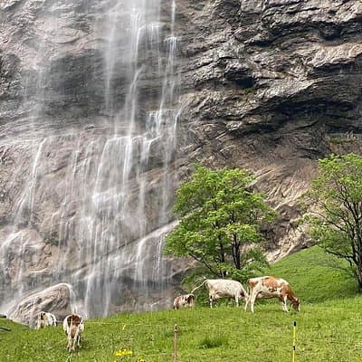 Discover Lauterbrunnen with CHEESE & CHOCOLATE
