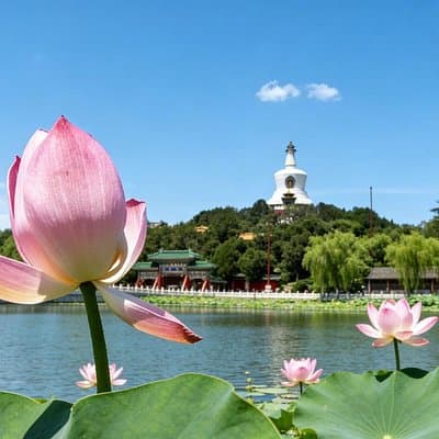 2-Hour Beijing Private Jingshan Coal Hill Park and Beihai Park Walking Tour