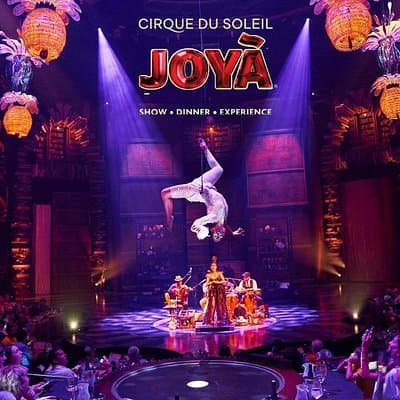 Cirque du Soleil JOYÀ Admission Tickets