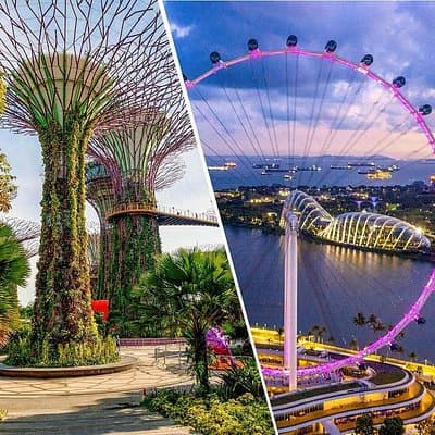 Gardens by the Bay + Singapore Flyer Tickets