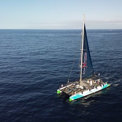 Whale Watching and Listening Eco Catamaran Tour with Food Tasting