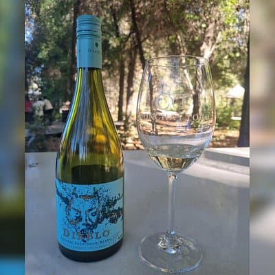 Transport from Santiago: Viña Concha y Toro Tour + Museum
