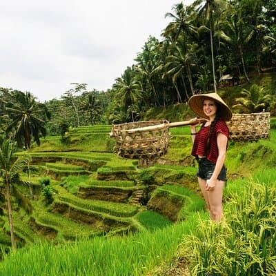 Private 1-Day Ubud Highlights Tour