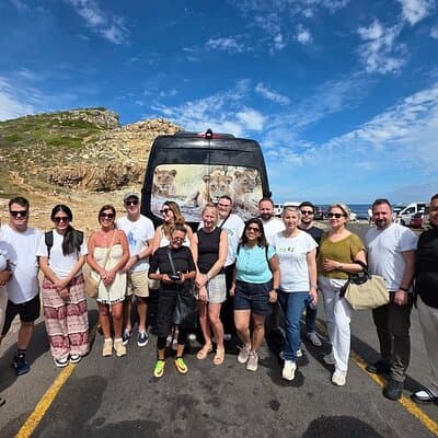 5-Star Small-Group: Cape of Good Hope, Penguins & Bo-Kaap Tour