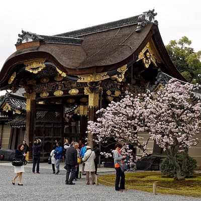 Kyoto Imperial Palace & Nijo Castle Guided Walking Tour - 3 Hours