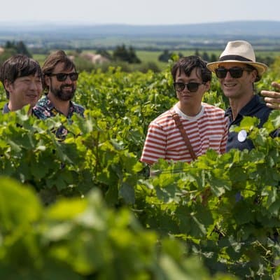 Morning Wine Tour to Chateauneuf du Pape from Avignon