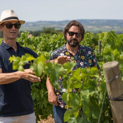 Afternoon Wine Tour to Chateauneuf du Pape from Avignon