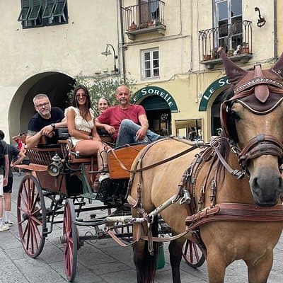 Lucca Classic – Carriage Tour in the Old Town