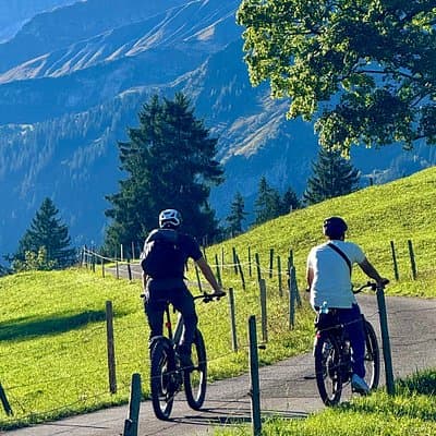 Griesalp UNESCO Alpine E-Bike Adventure from Interlaken