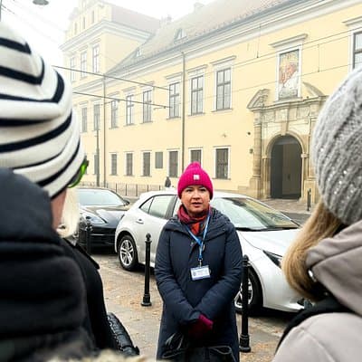 Wawel Castle and Cathedral with St Mary Basilica tour
