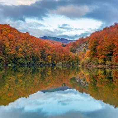 Day Trip to Irati Forest and Ochagavia from Pamplona