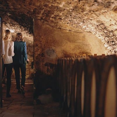 Immersive tour