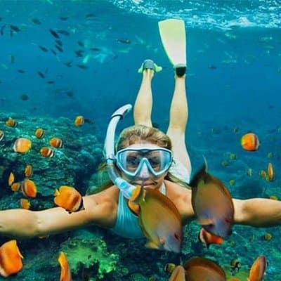 Cham Island Tour Snorkeling or Diving from Da Nang or Hoi An