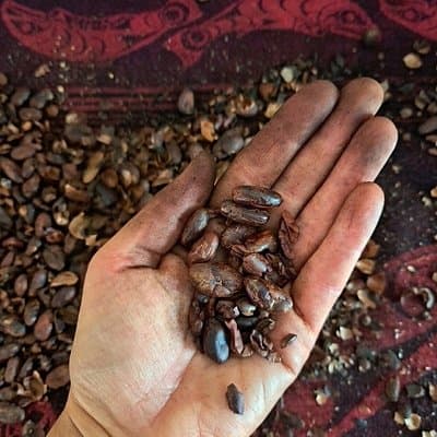 Rare Chuncho Cacao Bean to Bar Workshop and Ceremony