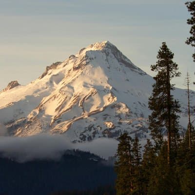 Columbia River Gorge Waterfalls & Mt Hood Tour from Portland, OR