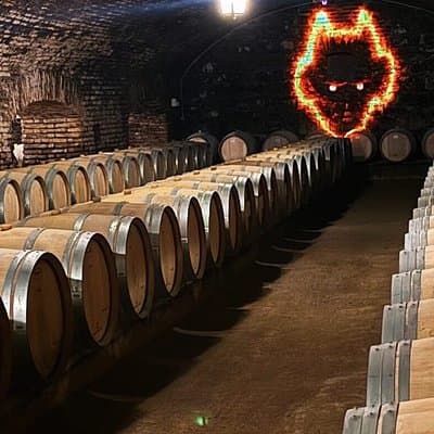 Premium Tour at Concha y Toro Winehouse with Tasting