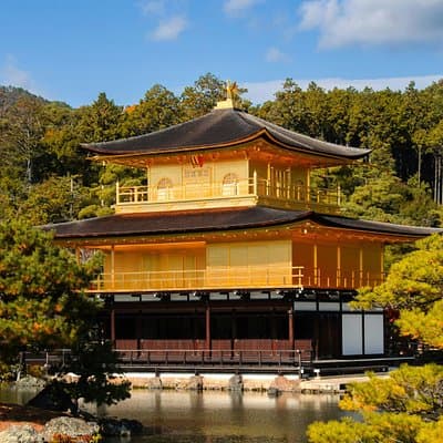 Kyoto Full-Day Bus Tour: Nijo, Arashiyama & Fushimi Inari (EN/ES)