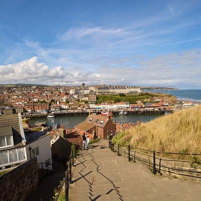North York Moors and Whitby Day Tour from York